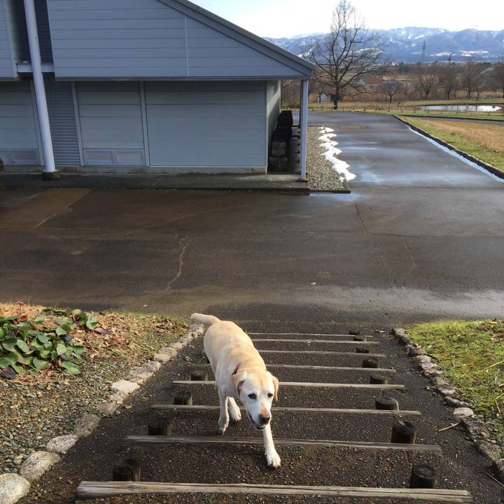 E383396e 9e53 4cde 8979 bf93706e8bf0