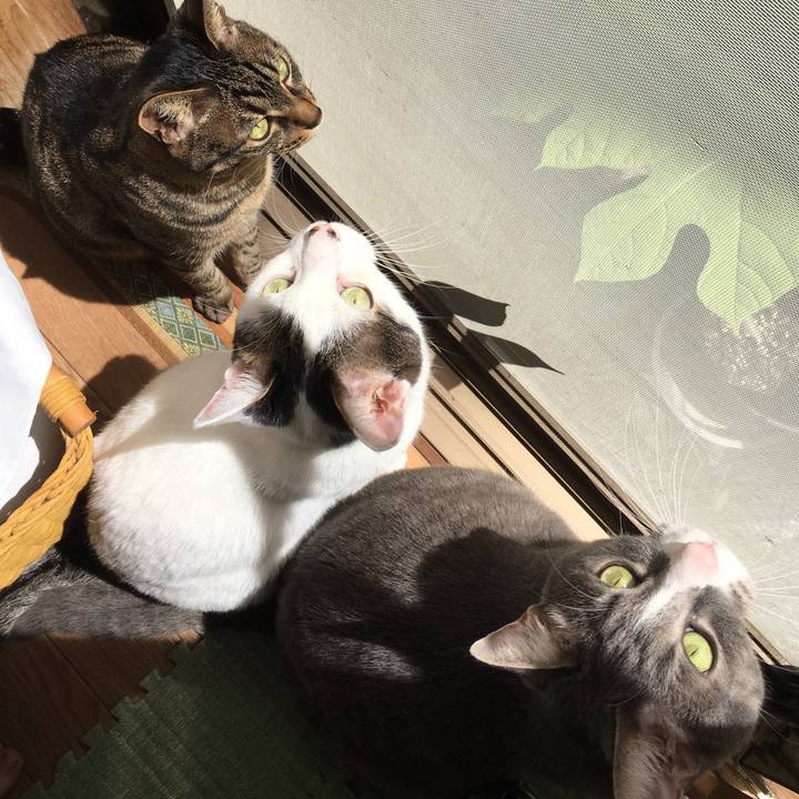 E383da6b ec82 4685 a29e ef873720bfdf