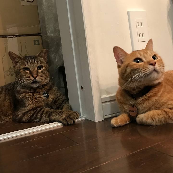 E38405eb a9cb 490e 890a 4c13625586bc