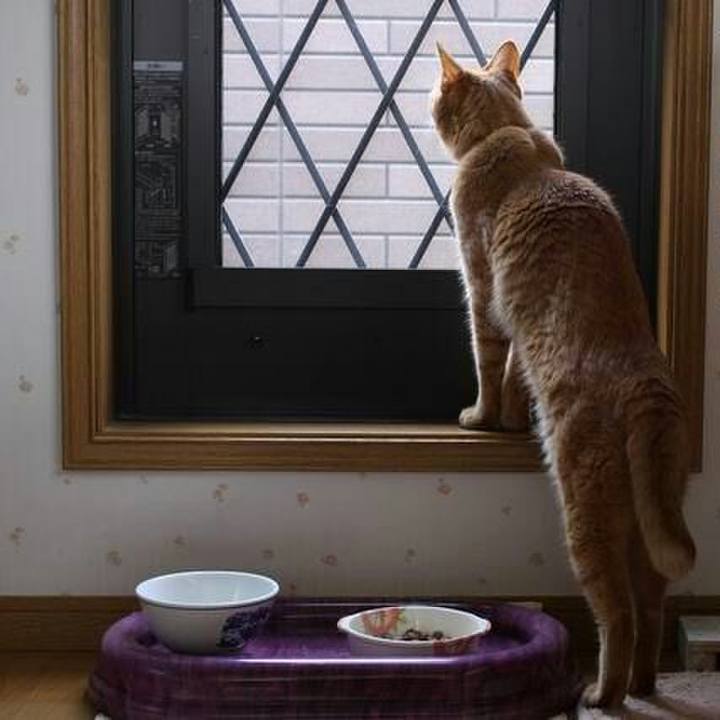 E38458d7 1cac 434f a863 87de6002ed6c