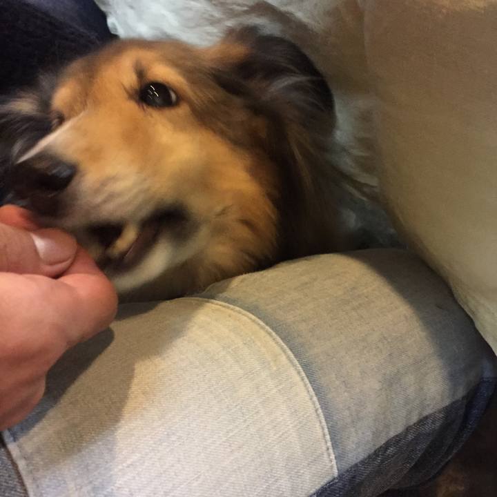 E38475c5 c822 42b1 8791 e6a912d4f2d8