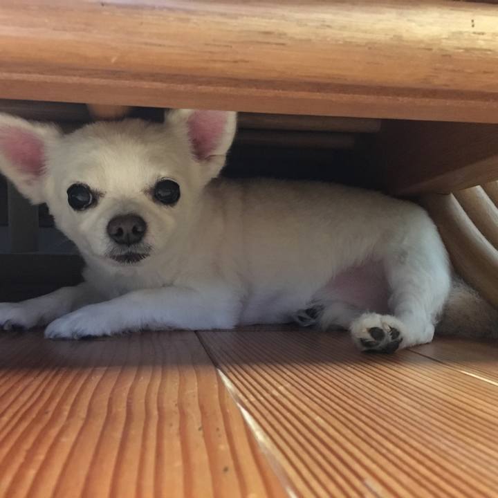 E38479b3 0c73 448a b556 2d71a4e167e9