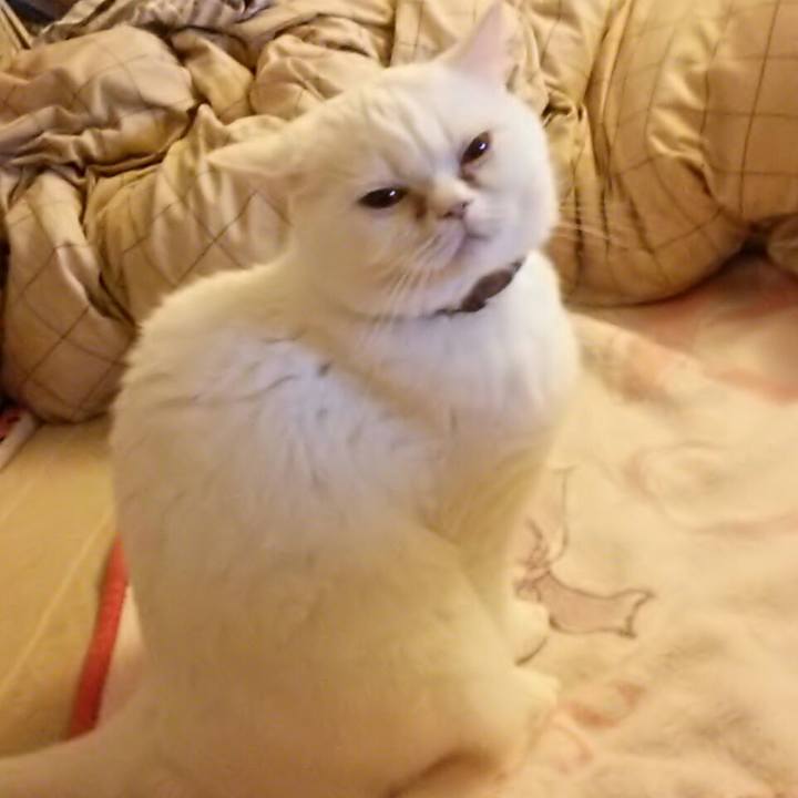 E384a31b 8fcc 4b3c a6be ce21bb53c0e5