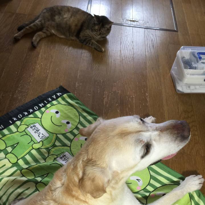 E384d1c8 4ddb 4041 9438 f45b35794d8b