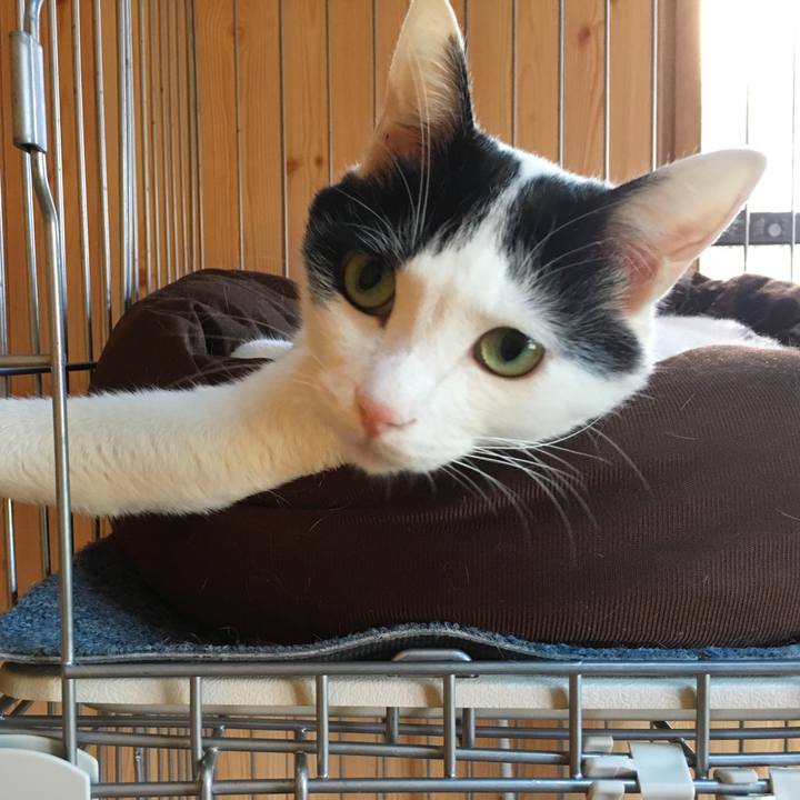 E3850055 8e5e 40cd 9ef5 f734db846942