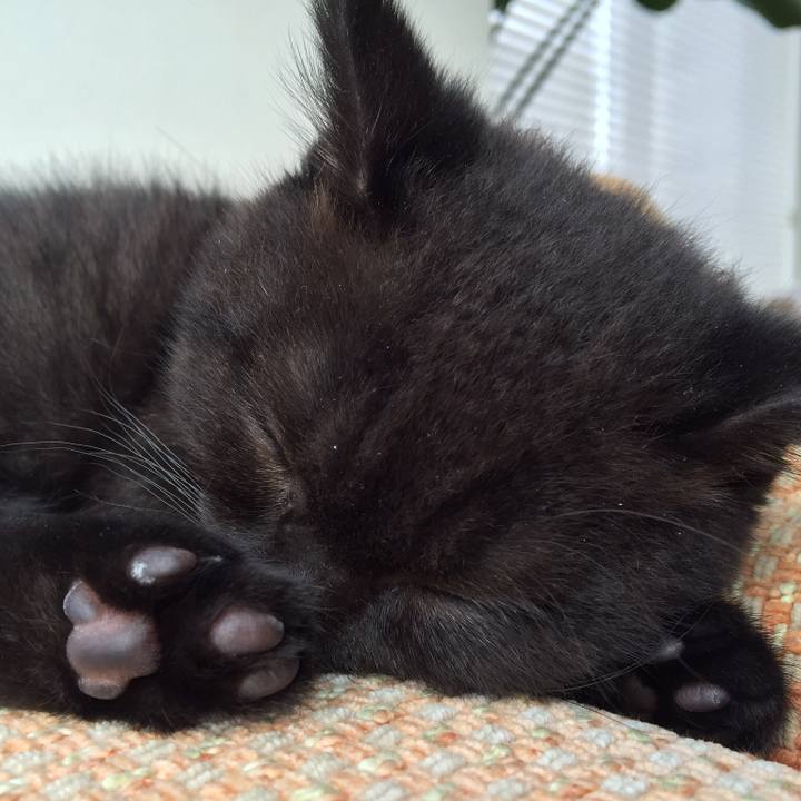 E385245d 4e0f 4dff 9fdc f6972b34aeb2