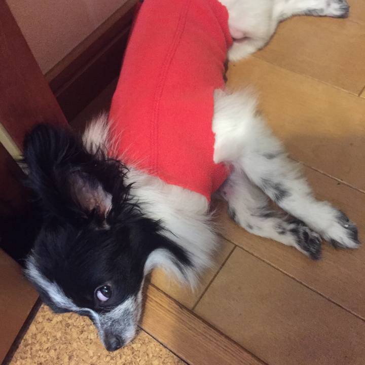 E3859c89 fa11 4667 9087 ff3c66e95a67