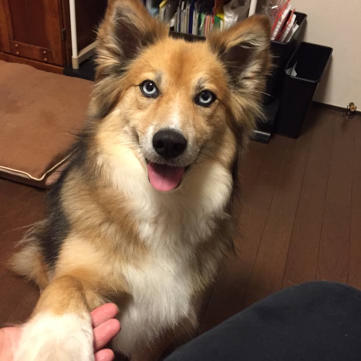 E3860687 4630 41d0 8b09 70e68601399f