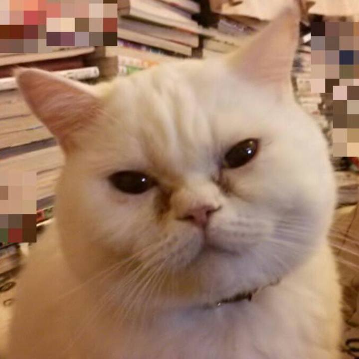 E3869eaa 7143 4541 8a7a 263ff3748518