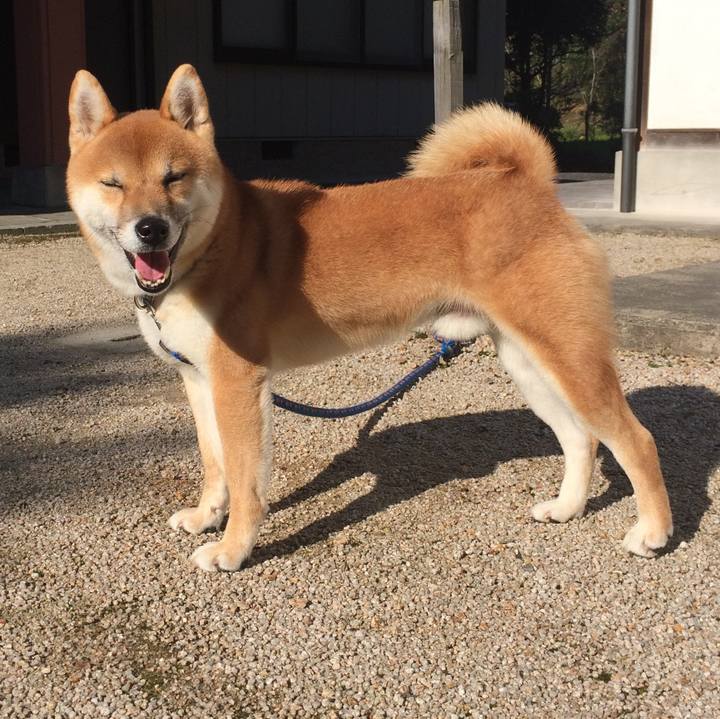 E3869ff3 0b22 4aad b291 71eda79a210f