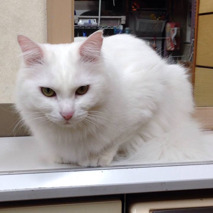 E3874645 5daa 406a 8acc aea9df9a237e