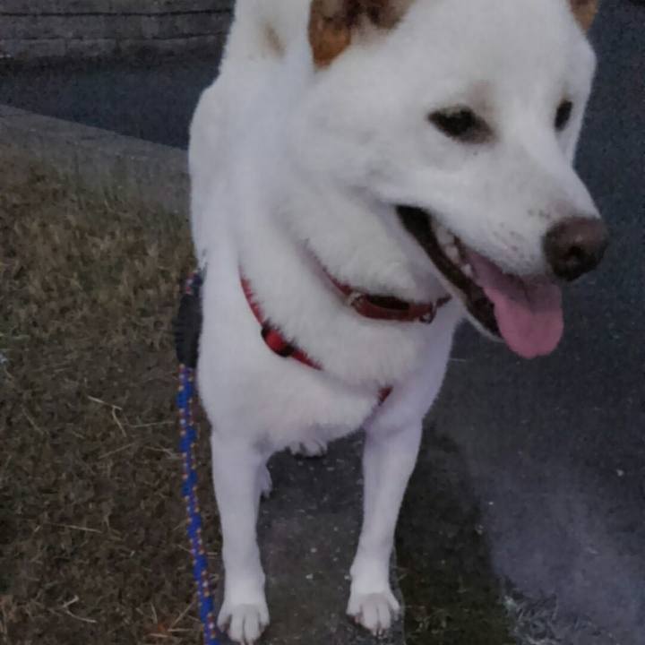 E3877f4c 7119 44c2 a672 54c4452f3c04