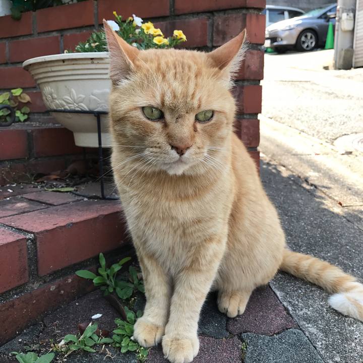 E387f547 34e7 4810 80b9 63b64e7576cc