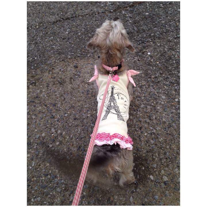 E38847de 1b39 4d83 9660 d77e4ec05570