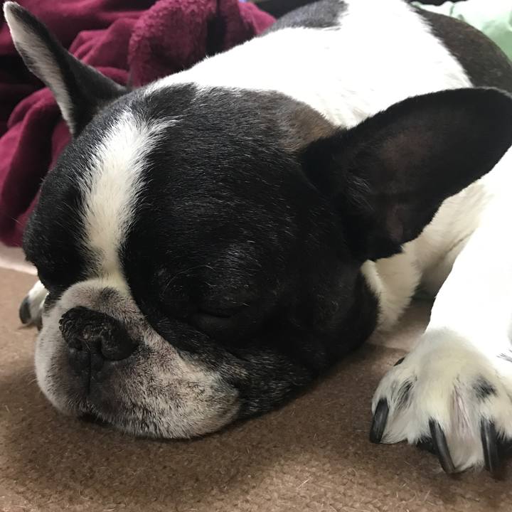 E3887848 db61 4b19 8dd6 a08f3ac98755