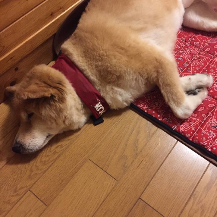 E3897274 3cd9 43df b531 ad8a45fda378