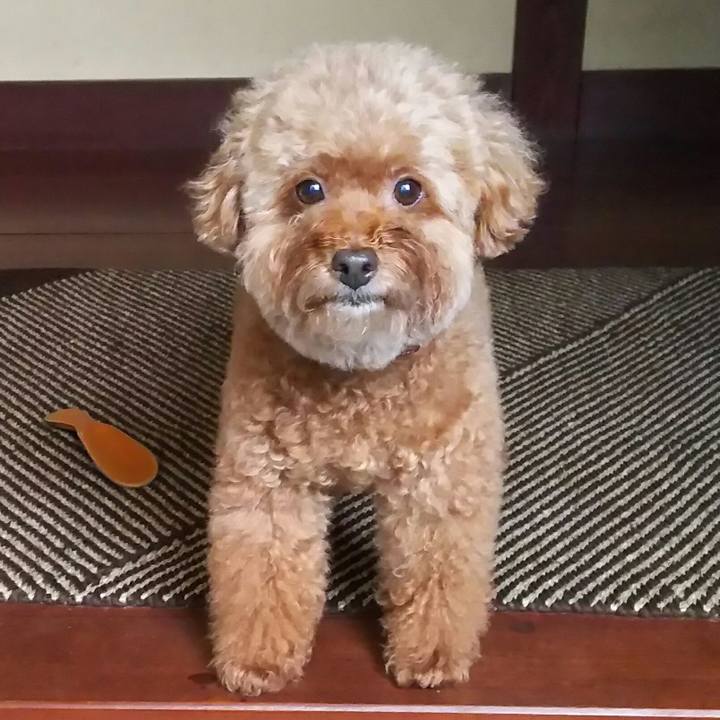 E389743f 780b 49e4 bcae 1108c4750c50