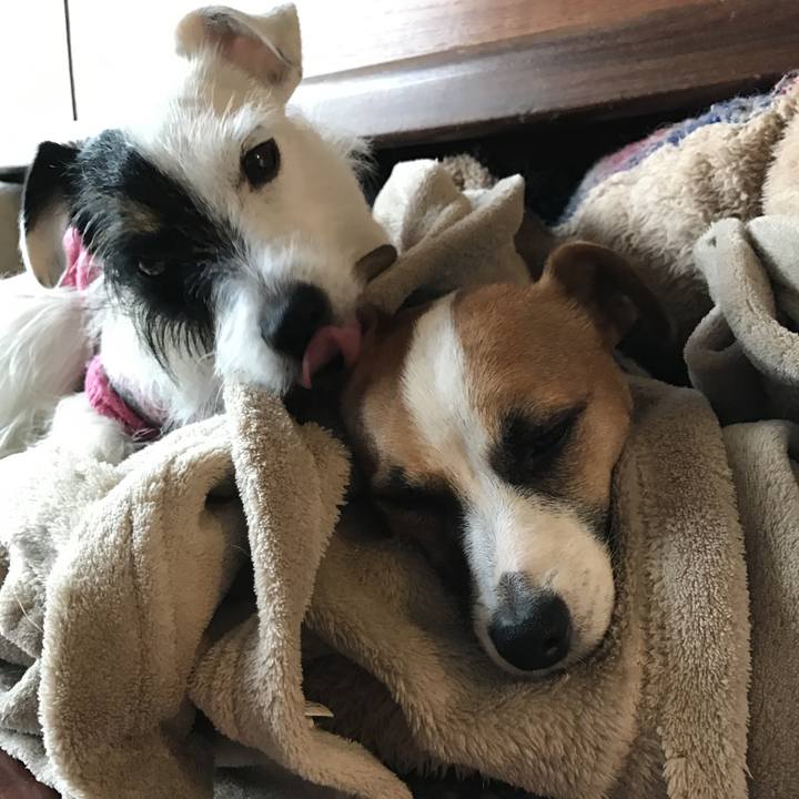 E3897e3e 6c75 4292 8673 8dd451115864