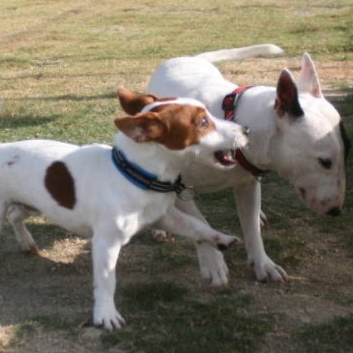 E389df9e 2a45 4304 9b23 92f00482ac8d