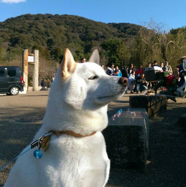 E38a37f0 feda 4894 8961 15e08466a87f