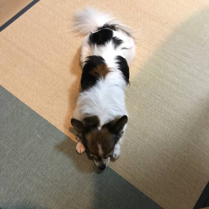 E38a3cf2 223d 4387 b099 97a26ece2035