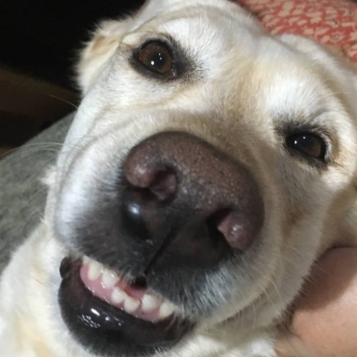 E38a6428 d4f7 48b3 a9c0 1bf7b6a34831