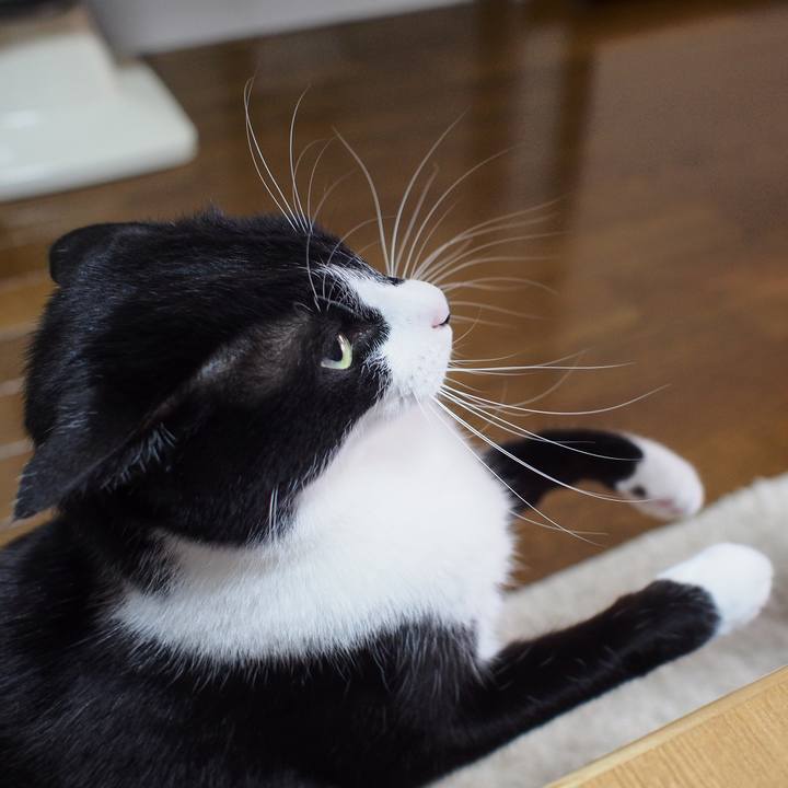 E38b3628 75b9 4b59 9968 cb86247a85bd