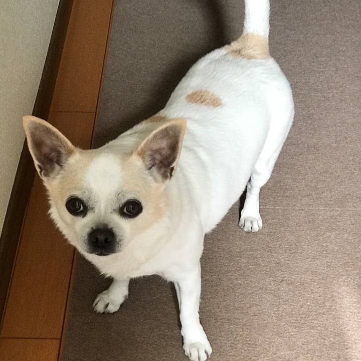 E38b848e e162 4e55 bd2b b8cfbe6178a0