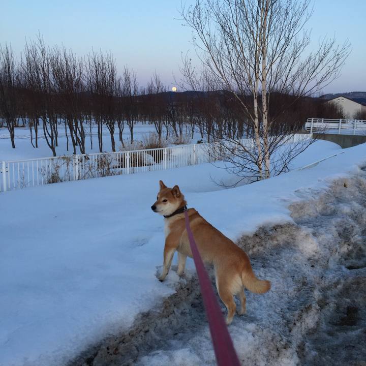 E38bb5c7 0f41 4dbd 8844 2e3d37c8da44