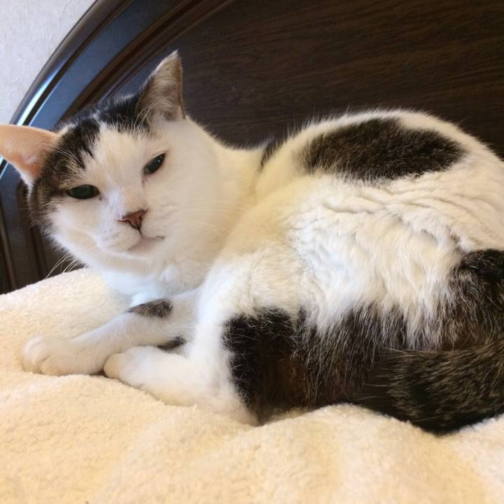 E38c0ac7 da73 41a3 a932 5584df76944f