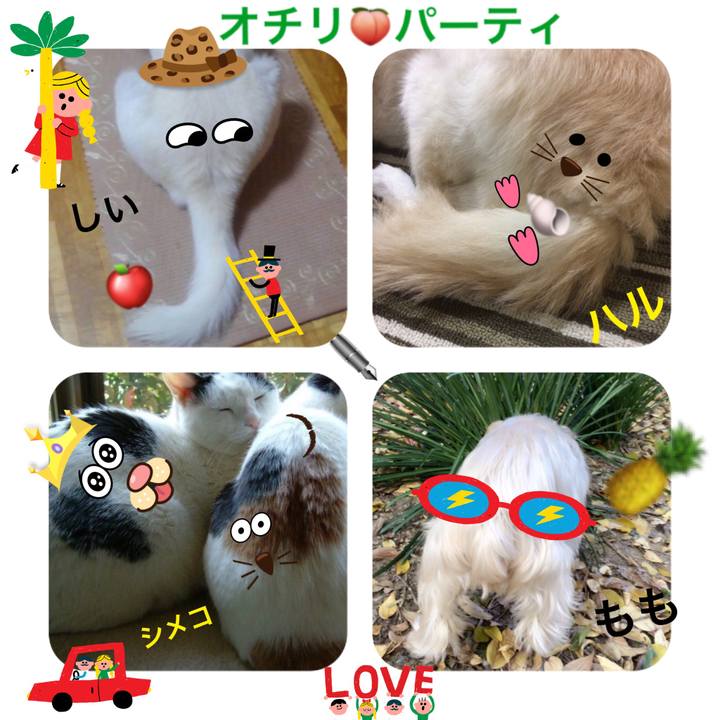 E38d6e18 d9cc 4980 a13b 3a9ed8118c32