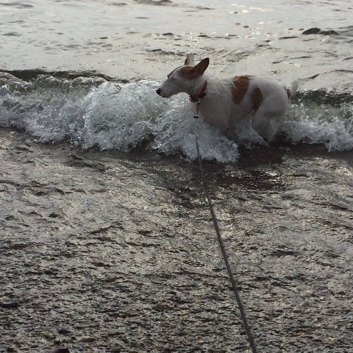 E38d764f 464c 46b1 a2b6 be7825f1b042