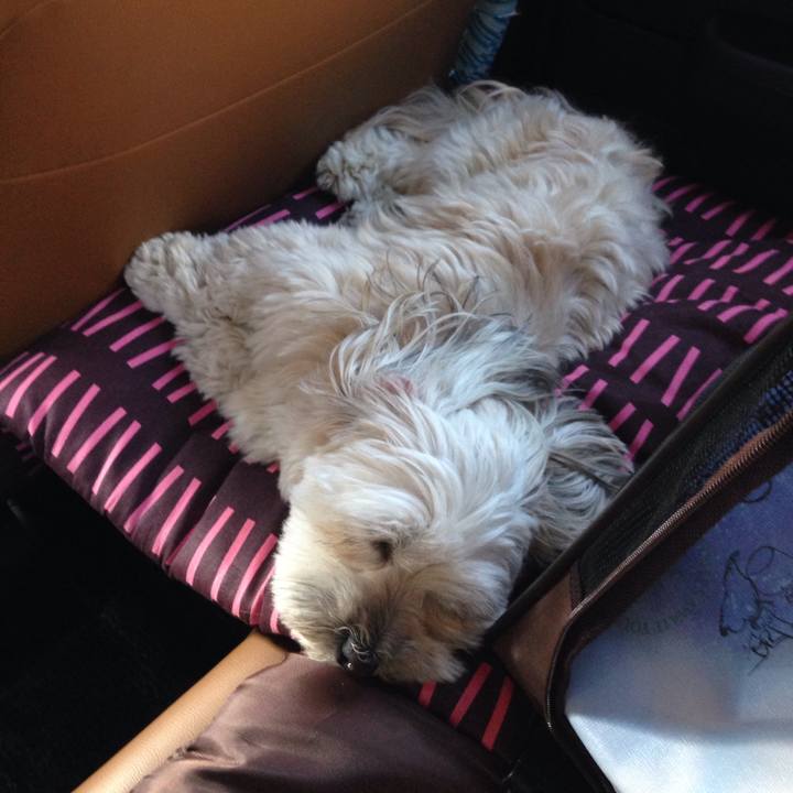 E38e5bb8 187c 4397 9608 5ec281d4b93f