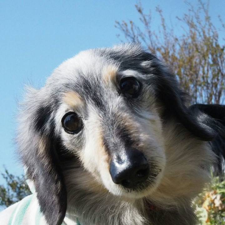 E38e77d4 a753 426b bc2b 72c47f678328