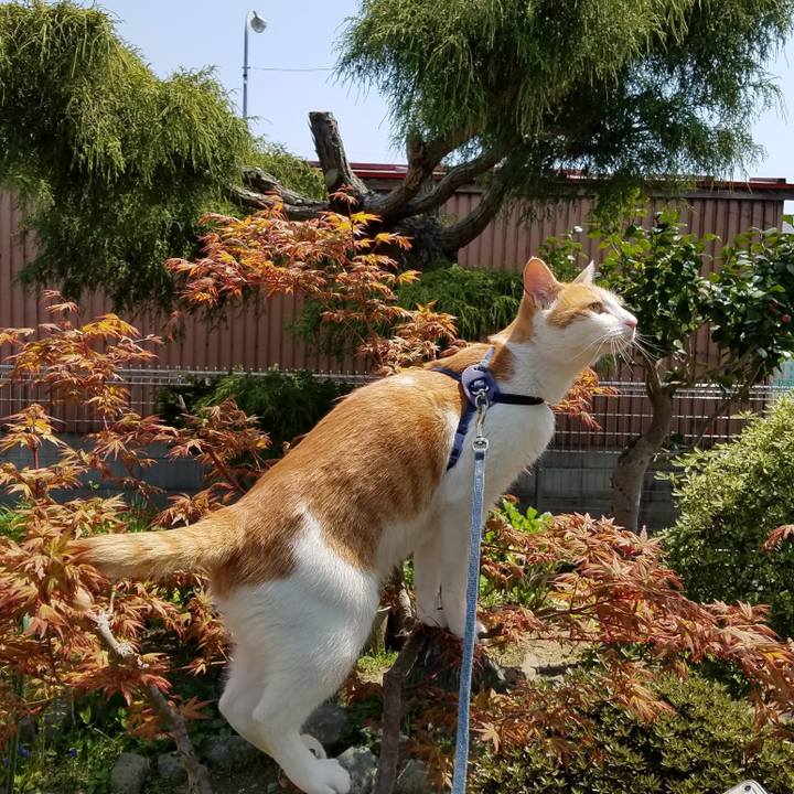 E38ea4ef 5a4b 44c9 a309 6418fff7c32c