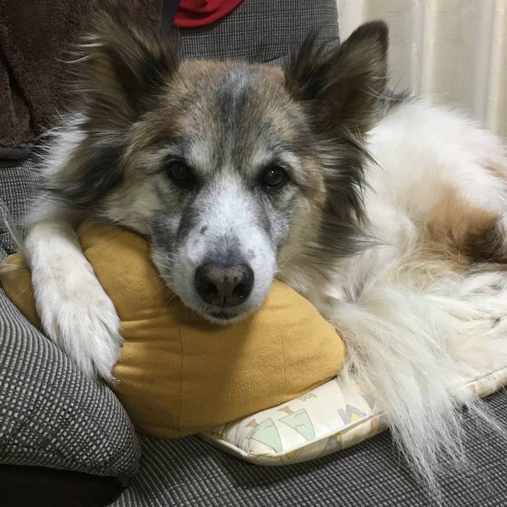 E38f1cfe 8284 4e8a 9ef3 96942d8a94b2