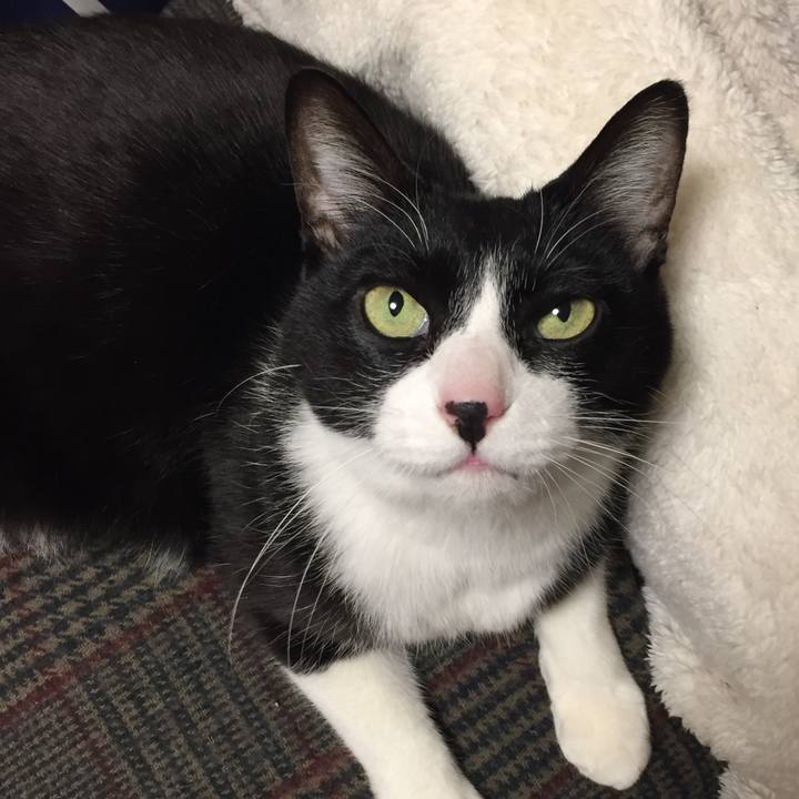 E38f888e 801d 4168 b851 68611b8a0df8