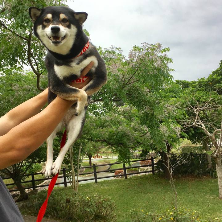 E38f9493 8196 4a4e 8665 95193523e4f0