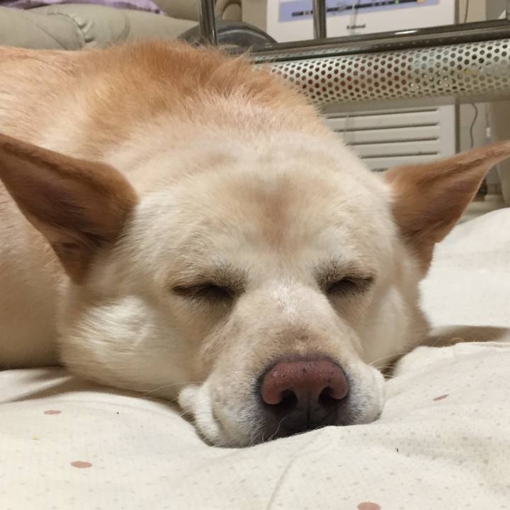 E38f95f1 a113 48eb aaee c0c6765c9a81