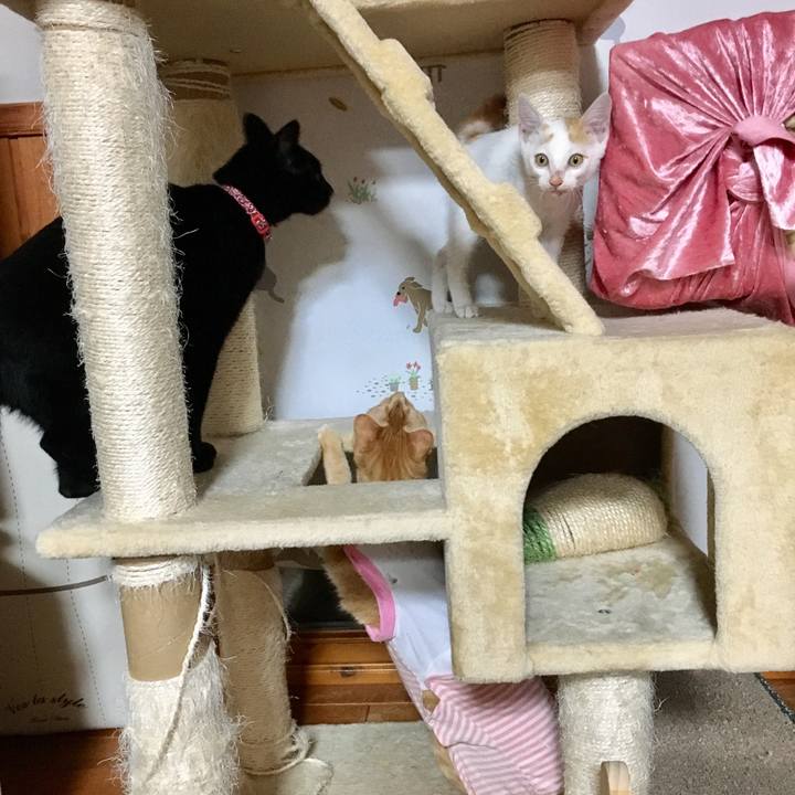 E38fbc05 9b62 485b aedf 1f6761788d44