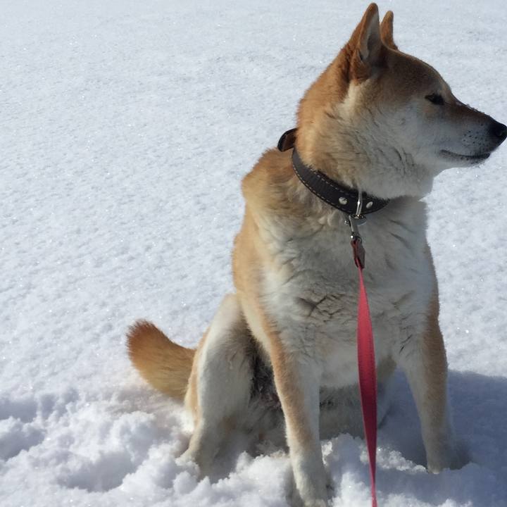 E38fe09a a884 4953 952b 41b9b2f90b8a