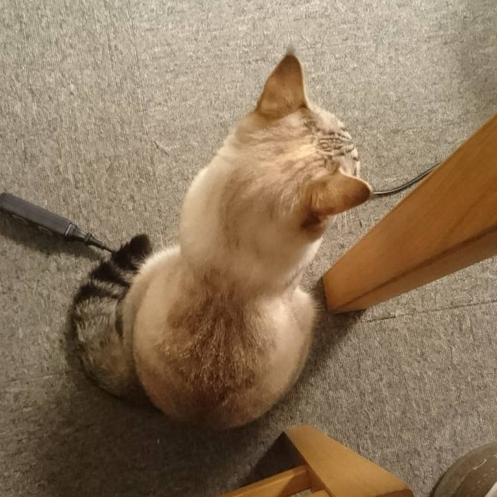 E39018f9 9a32 4058 8fe4 d99df86c6d95