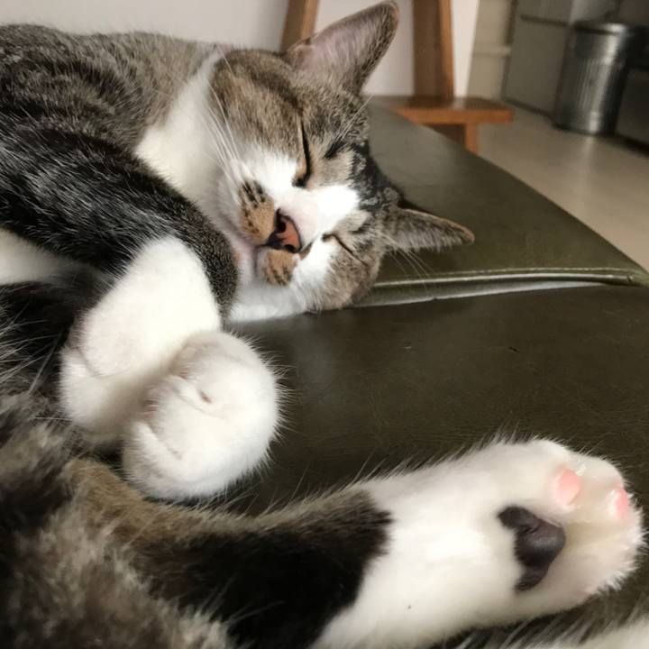 E3904325 1b48 416f 85c5 4db2dee032c7