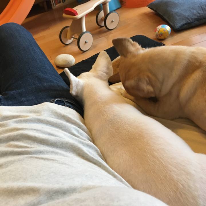 E390a202 949d 4321 a188 e15a2accdbb7