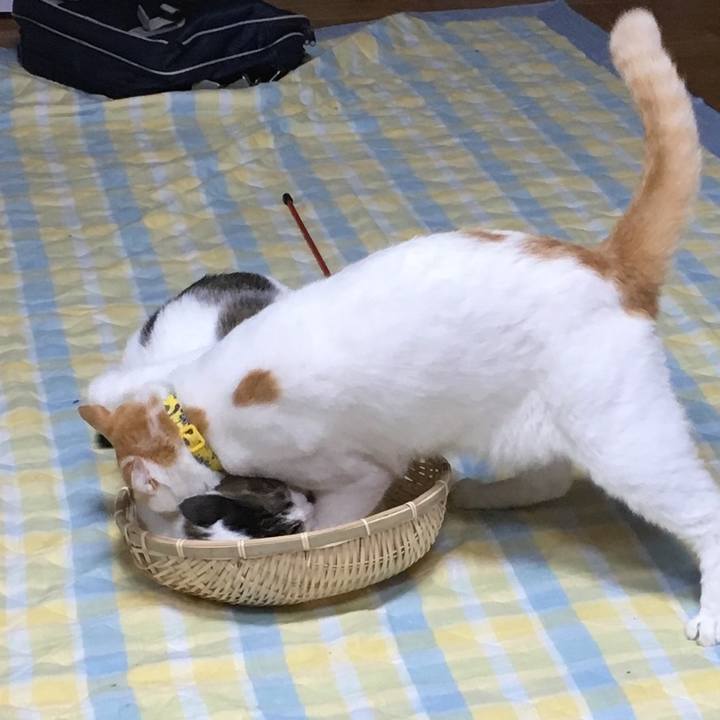 E390f44f 5964 4d3c 8208 7f9e44ace418