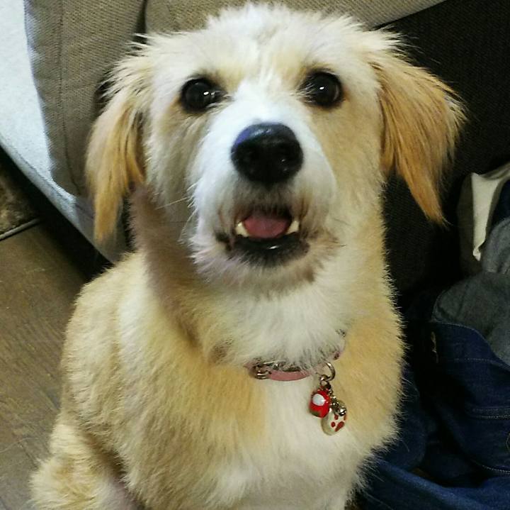 E390fbac bc43 4a2c bfca 8d68e250a85a