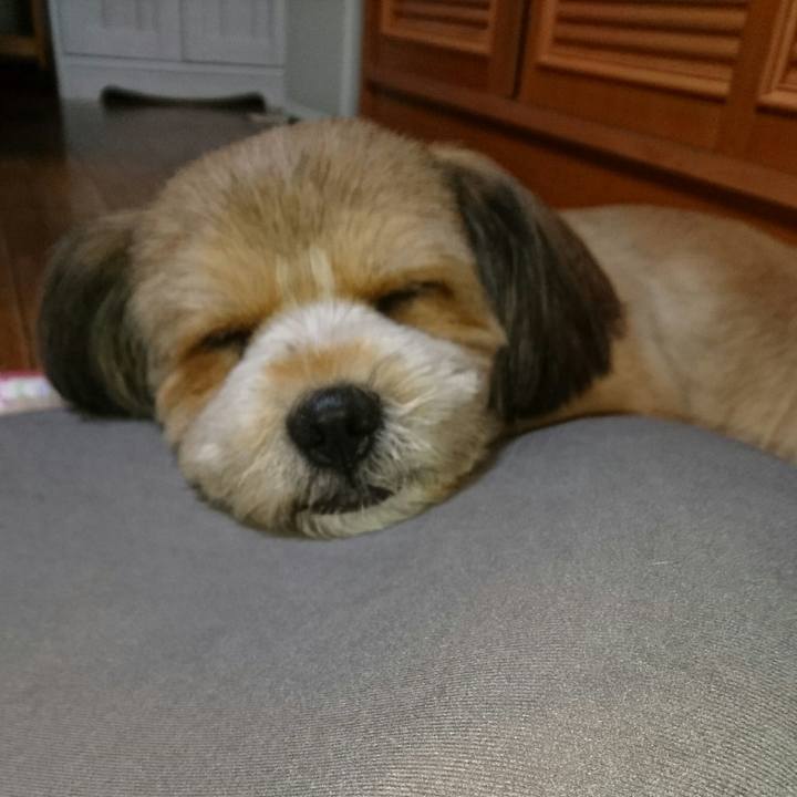 E391f6bb 633b 4320 b366 26fc82dc1a8c