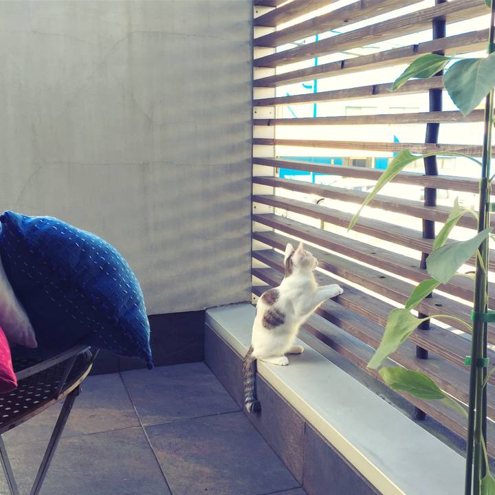 E392663c cb12 48ad bc9a eb0cac280ad1