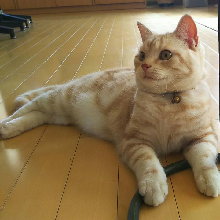 E392f0ed cad5 43b9 b710 10fc80189a3a