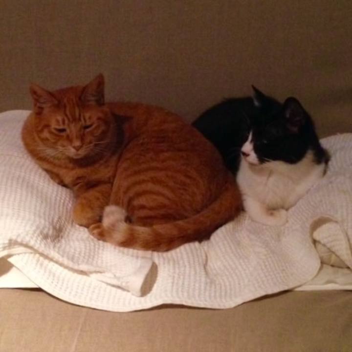 E39445db ace3 4cda 98c1 39a6a44fa023